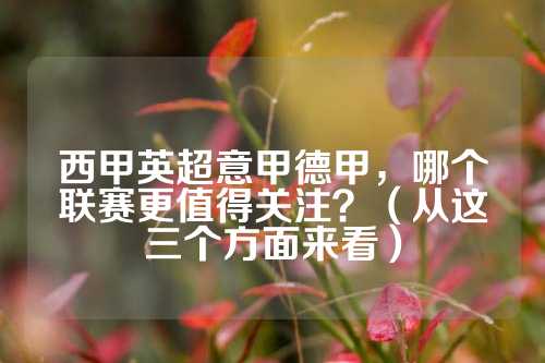 球迷愿意自 球迷愿意自
